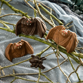 Vampire Bats