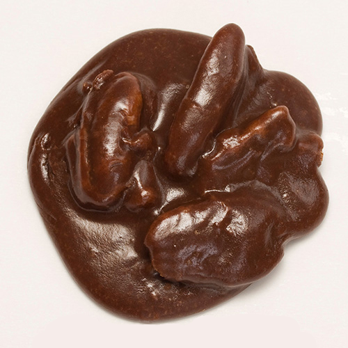 Chocolate Pralines