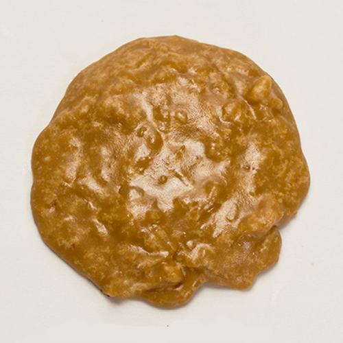 Coconut Pralines