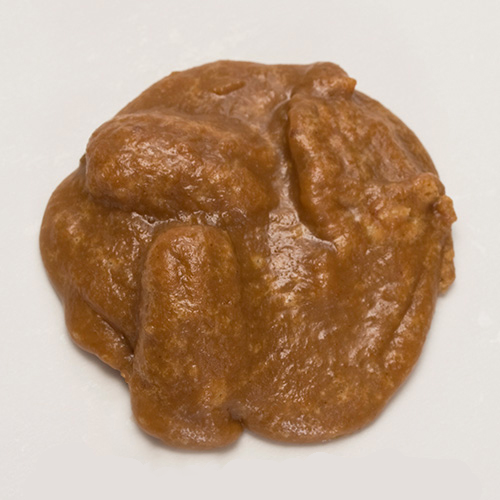 Sweet Potato Pralines